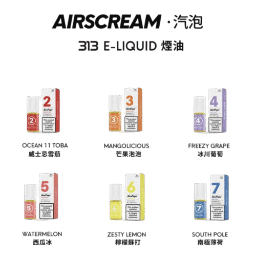 英國 Airscream 313