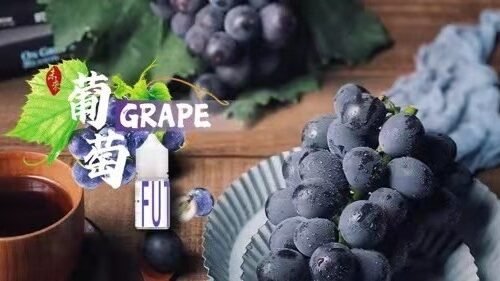 糖巢Sugar Nest https://mikeymcq2.com @mikeymcq